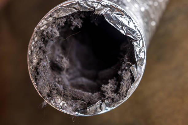 Best Air Duct Inspection  in Edcouch, TX
